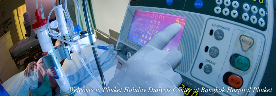 A new dialysis machine