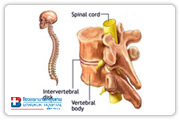 Spinal injection