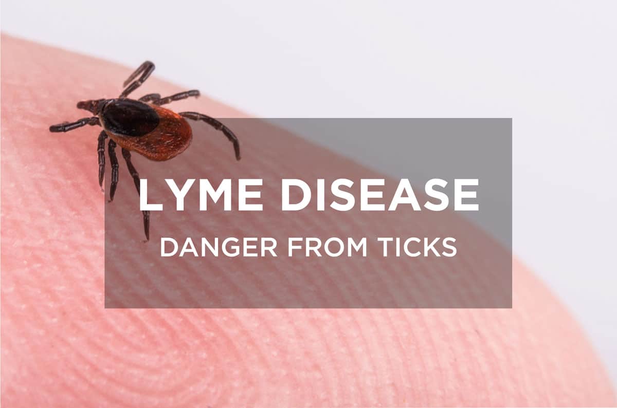 Lyme Disease: Danger from ticks