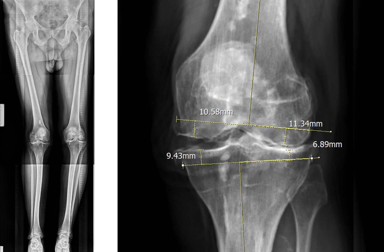 Screenshot 2568-05-23 at 09.51.57